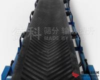 DTƤ��ݔ�͙C(j��)���̶�ͨ��ʽ��